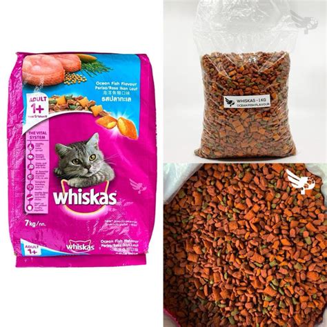 Best Dry Cat Food in the Philippines 2024.